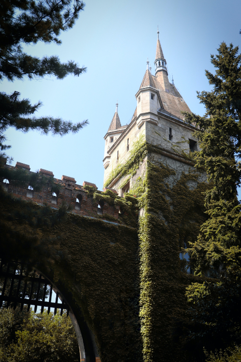 a mossy castle tower on a sunny day.