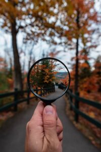 Magnifying glass looking at trees