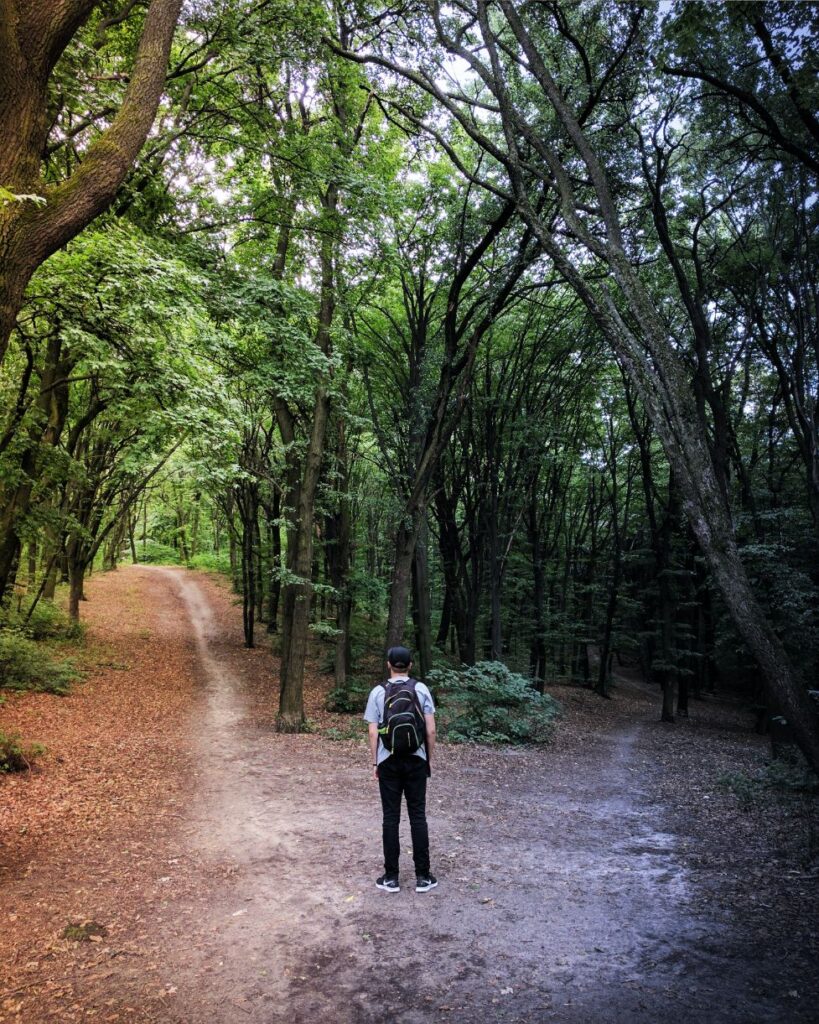 Man stands in front of two paths and must decide