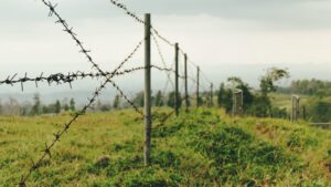 A barbed wire fence demarcating the limits of your travel