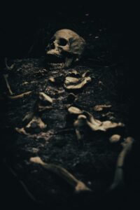 A skeleton having long passed its death scene