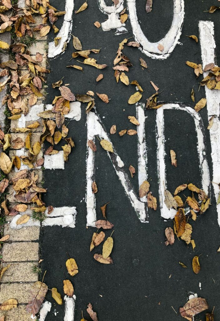 leaves over a road sign that says end